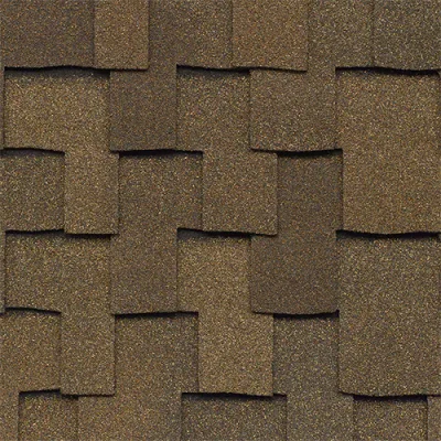 Cedar swatch