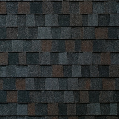 Black Walnut swatch
